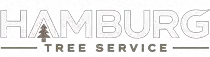 hamburgtreeservice.com